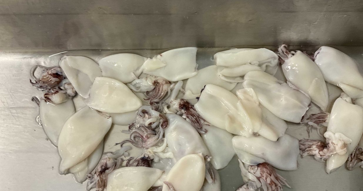 1. A sample taken from an import of squid which contained an undeclared species