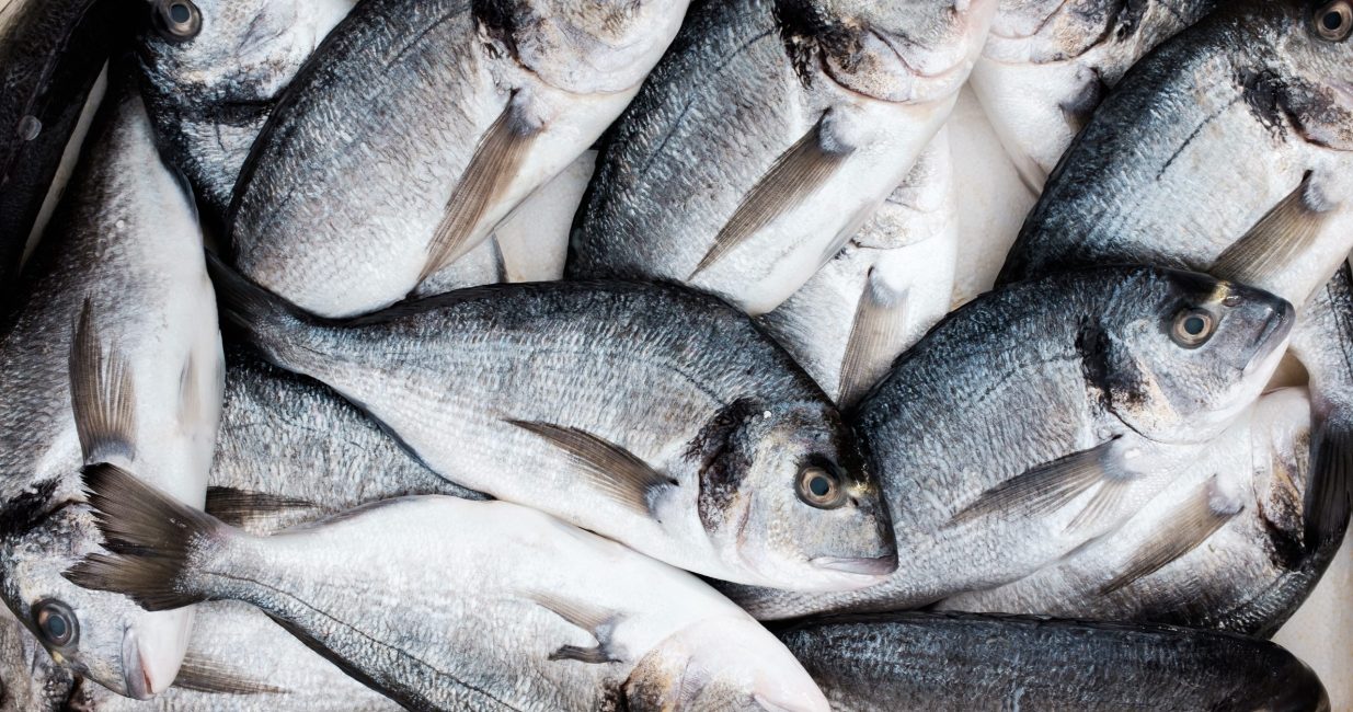 Seabream,Orata,Fish,In,A,Box,On,The,Fish,Market,